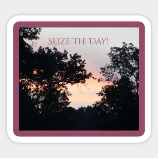 Seize The Day! Sticker